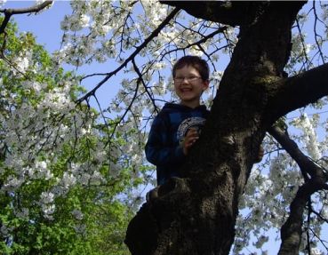 das Kind spielt im Baum