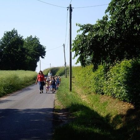 Bauernhof als Klassenzimmer