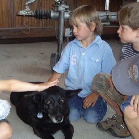 Bauernhof als Klassenzimmer