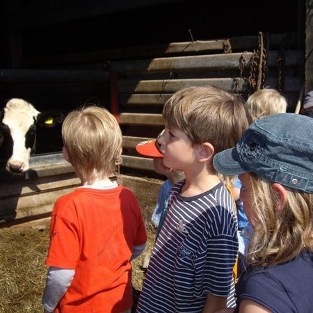 Bauernhof als Klassenzimmer