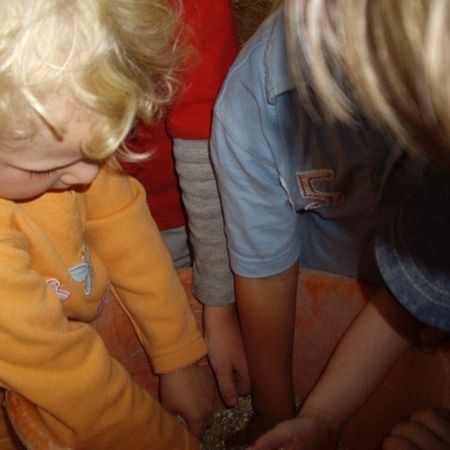 Bauernhof als Klassenzimmer