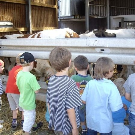 Bauernhof als Klassenzimmer