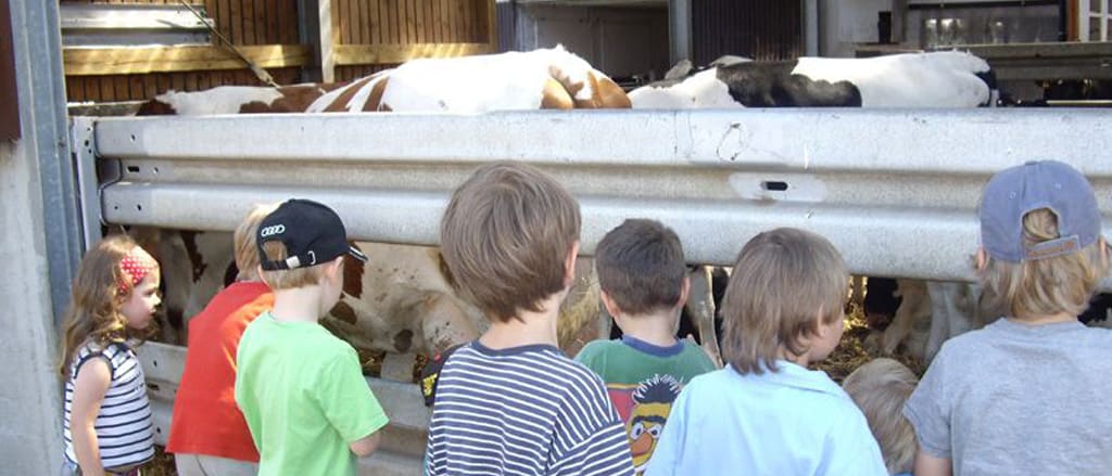 Bauernhof als Klassenzimmer